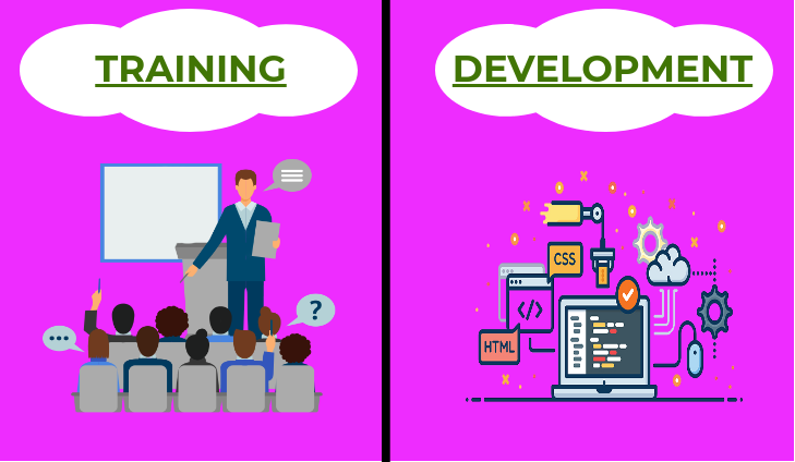 Difference between training and development